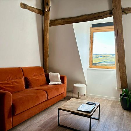 Appartement Cosy Vue Sur Le Vignoble Sancerre Dış mekan fotoğraf