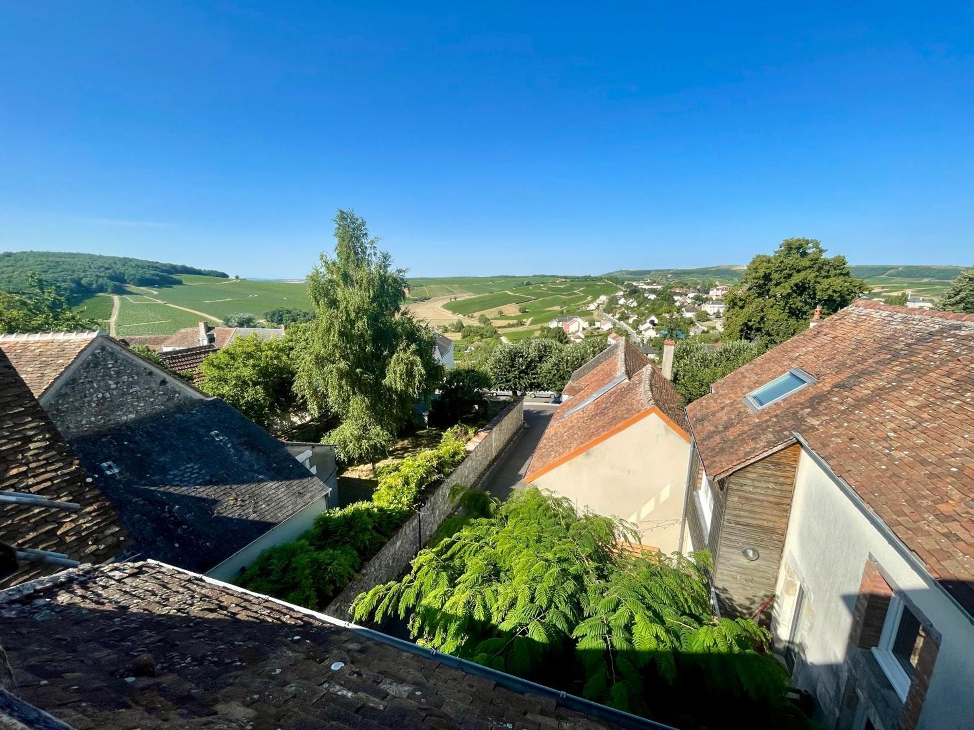 Appartement Cosy Vue Sur Le Vignoble Sancerre Dış mekan fotoğraf